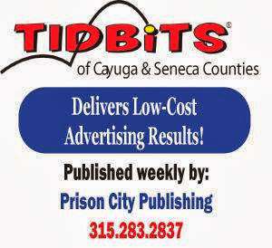 Jobs in Tidbits of Cayuga & Seneca Counties - reviews